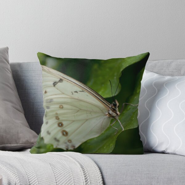 Item preview, White Morpho designed and sold by Tracey  Dryka.