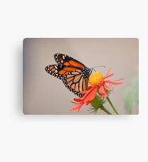 Enjoying a snack! Metal Print