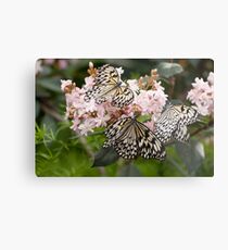 A Butterfly Party Metal Print