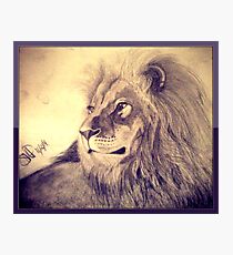 Lion Photographic Print