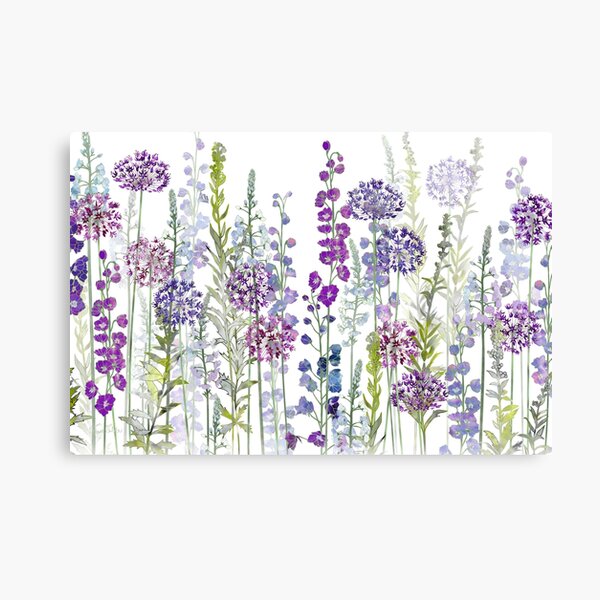 Purple Flower Meadow - Alliums, Delphiniums & Veronica Gentianoides Canvas Print