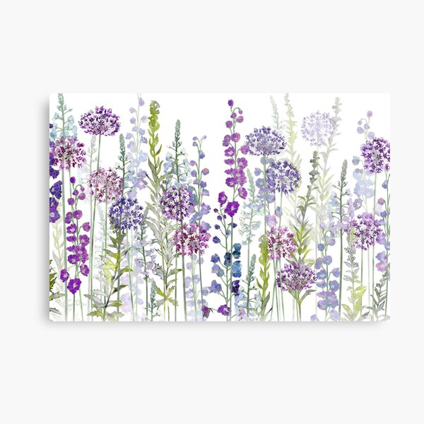 Purple Flower Meadow - Alliums, Delphiniums & Veronica Gentianoides Metal Print