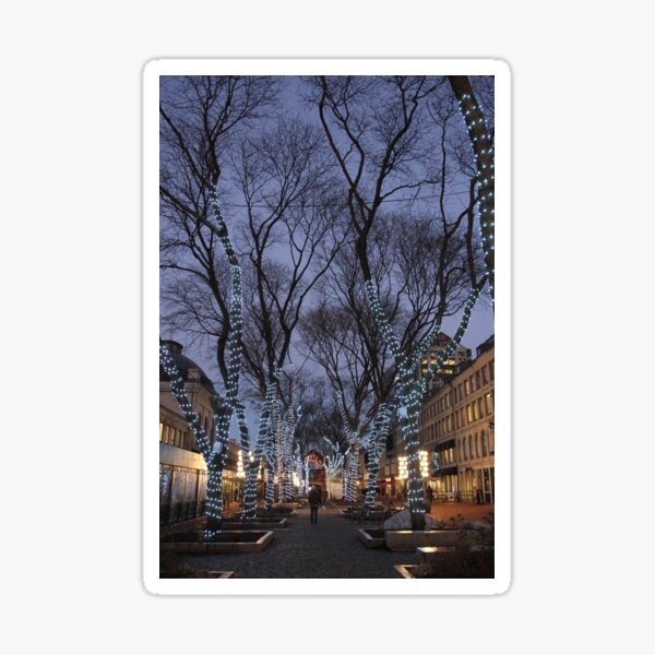Quincy Market Lights Sticker