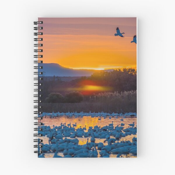 Item preview, Sunrise with Snow Geese  designed and sold by Alla Gill.