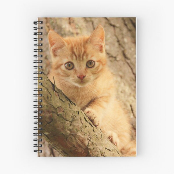 Aperçu de l'œuvre Mini cat créée et vendue par BrokenMix.
