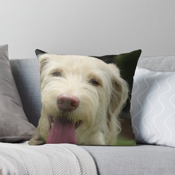 Item preview, Our labradoodle Mickey designed and sold by Silvia Stewart.