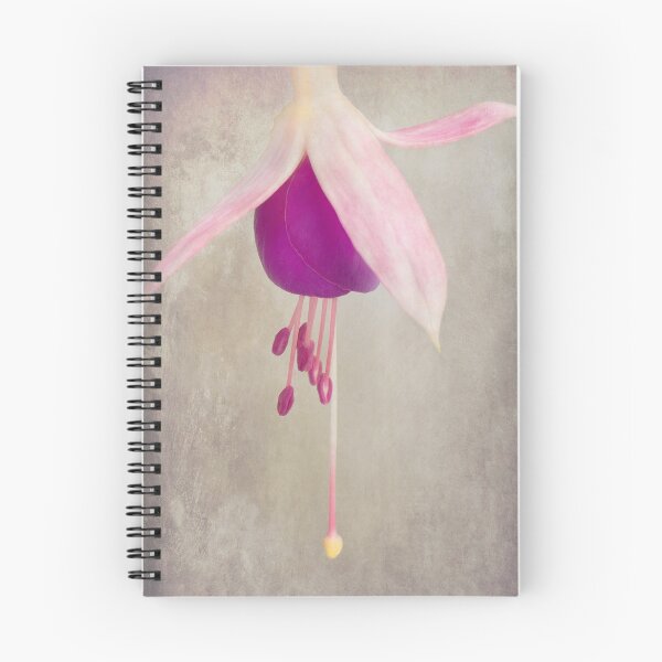 Item preview, Still Life #12 - Fuchsia designed and sold by Malcolm Heberle.