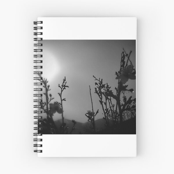 Item preview, early morning fog designed and sold by Albert.