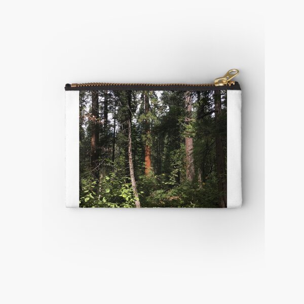 Item preview, Dense Forest Light designed and sold by Levitatelevate.