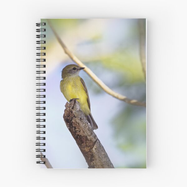 Item preview, Yellow bellied fly catcher designed and sold by David Hibberd.