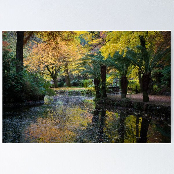 Item preview, Reflections designed and sold by Chris Dowd.
