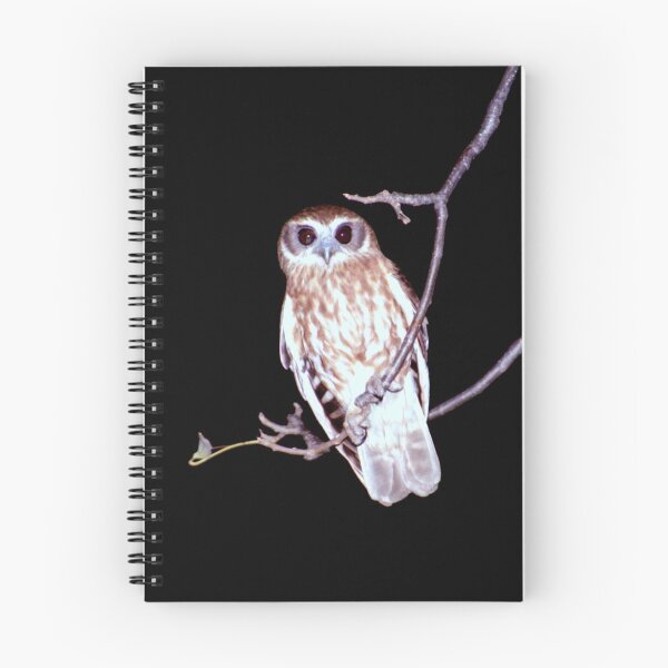 Item preview, Barking Owl at Night, Northern Territory, Australia  designed and sold by Carole-Anne.