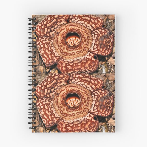 Item preview, Male Rafflesia pricei Flower designed and sold by Carole-Anne.