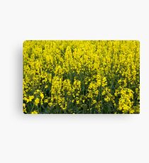 Rape Canvas Print