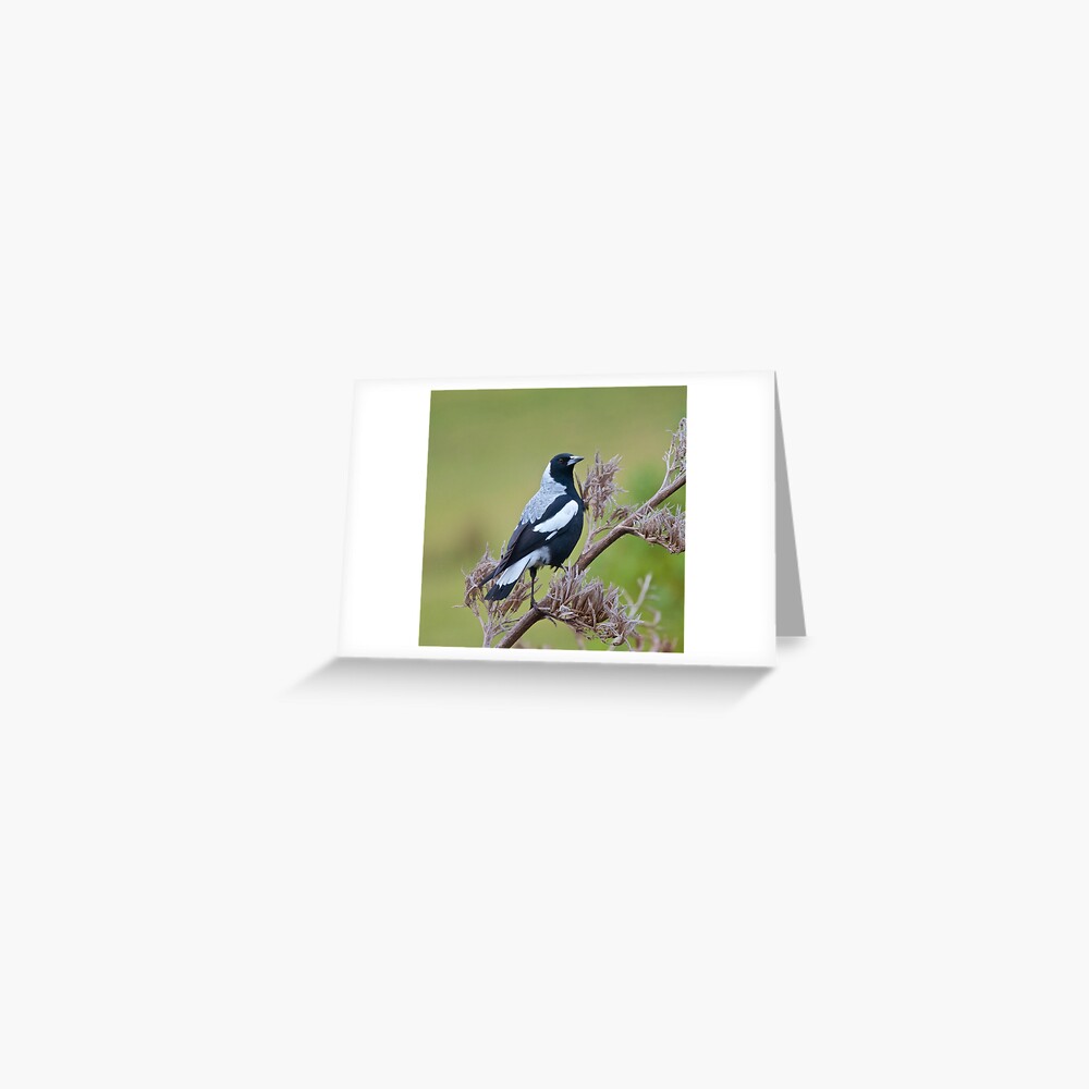 Item preview, Greeting Card designed and sold by tasmanianartist.