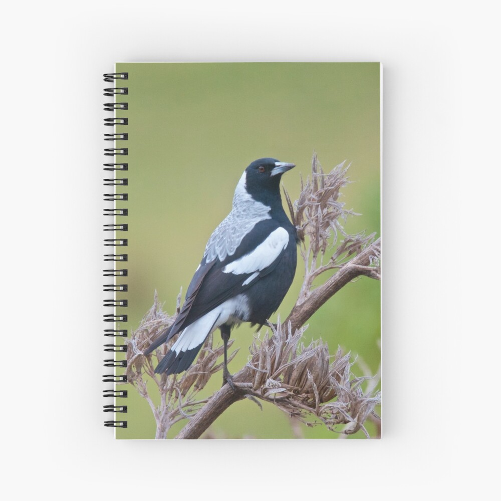 Item preview, Spiral Notebook designed and sold by tasmanianartist.
