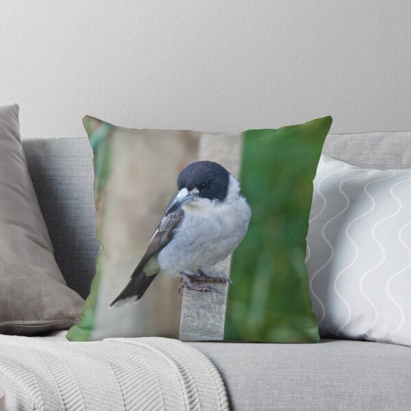 Item preview, ARTAMIDAE ~ Grey Butcherbird GTWAX6YF by David Irwin designed and sold by tasmanianartist.