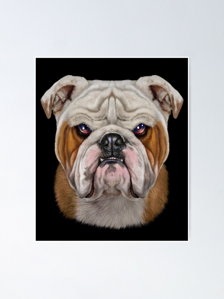 "Vicious English Bulldog Face" Poster for Sale by FoxRepublic Redbubble