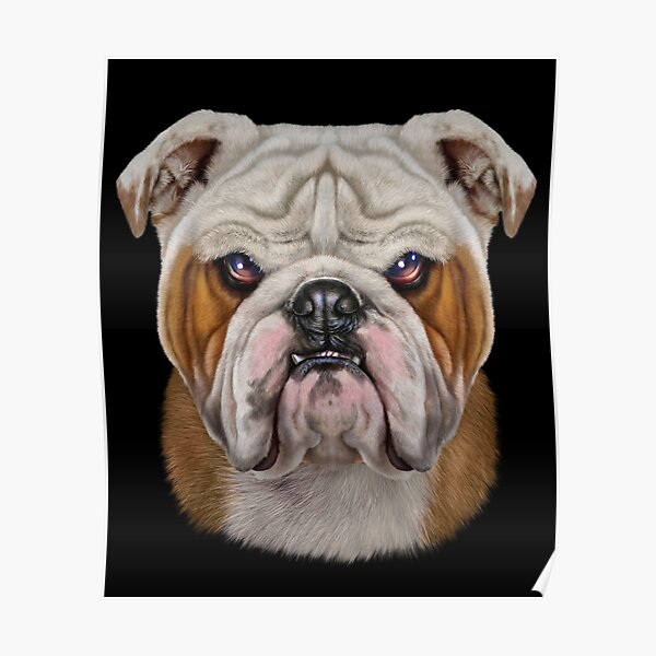 Poster Hund Meme Gesicht Redbubble