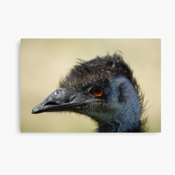 My good side Canvas Print