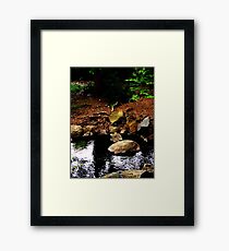 Serenity Framed Print