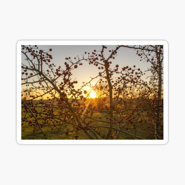 Item preview, Evening Berries designed and sold by Narrowboatgirl.