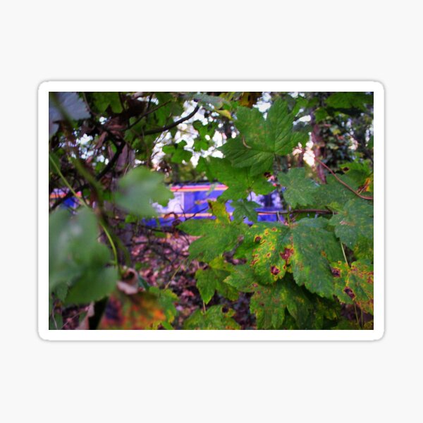 Item preview, Through the Hedge! designed and sold by Narrowboatgirl.
