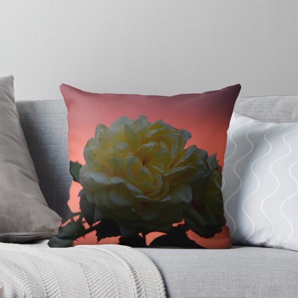 Item preview, Sunset rose designed and sold by emmelined.