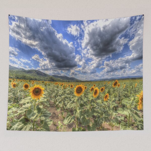 Item preview, Sunflower Fields Of Summer  designed and sold by Londonimages.