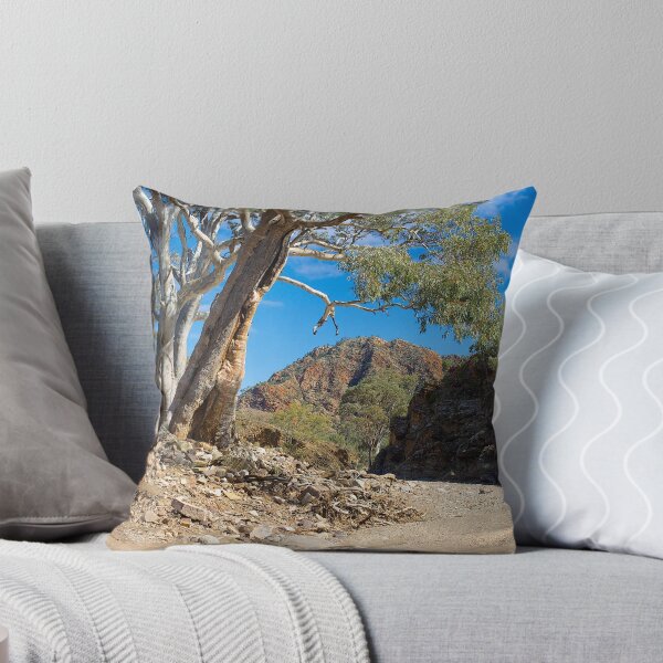 Item preview, Brachina Gorge, Study #4, Wilpena, South Australia. designed and sold by johnrf.