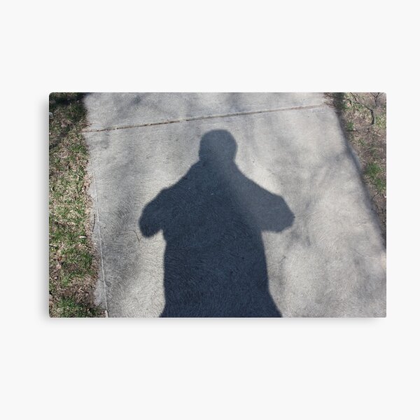 my Friend, my Shadow Metal Print