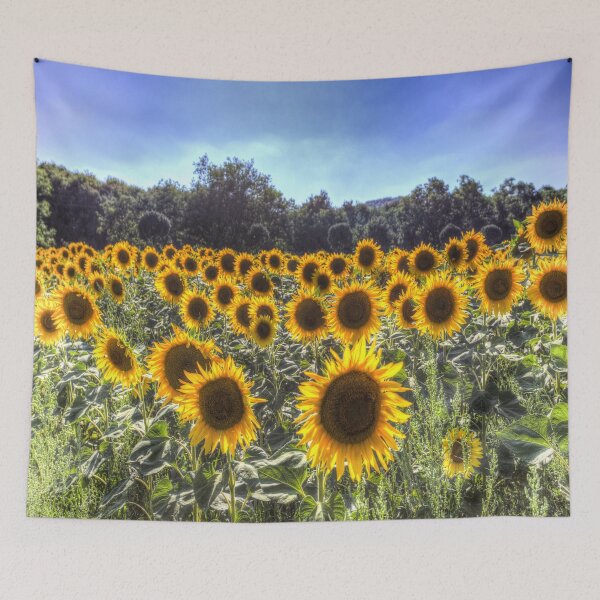 Item preview, Sunflower Summer designed and sold by Londonimages.
