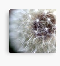 Angel Kisses Canvas Print