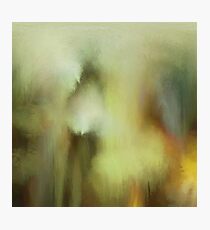Abstraction THREE Photographic Print