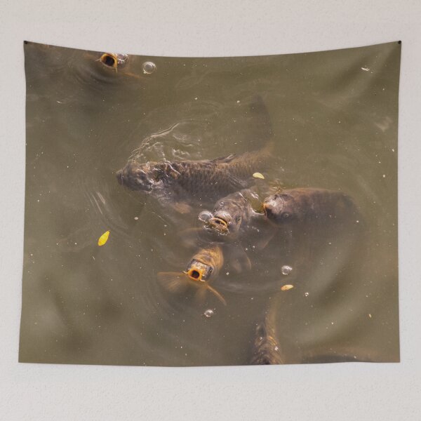 Item preview, Catfish designed and sold by KensLensDesigns.
