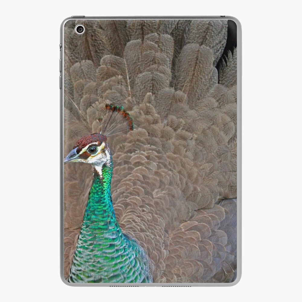 Stranded purple feathers of an exotic bird iPad Case & Skin for Sale by  NancyEle