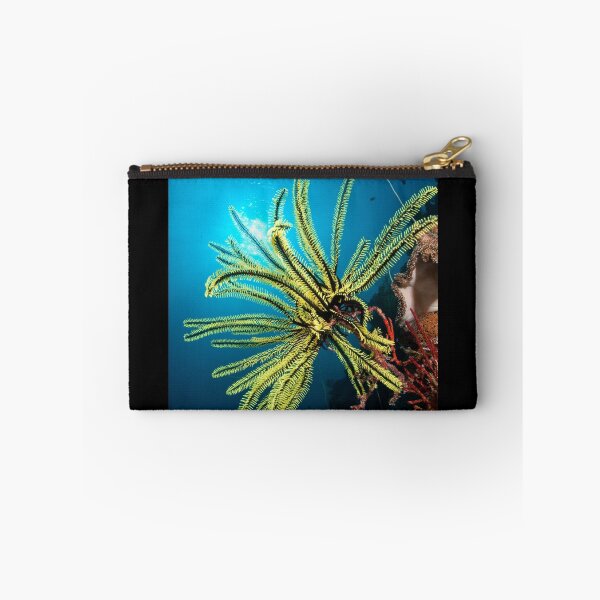 Item preview, Feather star, Wakatobi National Park, Indonesia designed and sold by Erik Schlogl.