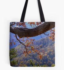 BLUE RIDGE -8 ^ Tote Bag