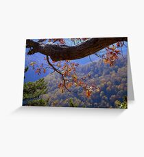 BLUE RIDGE -8 ^ Greeting Card