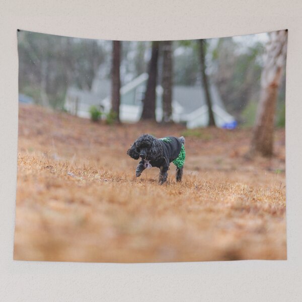 Item preview, backyard wanderings designed and sold by KensLensDesigns.