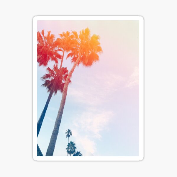 Palm Bright Sticker