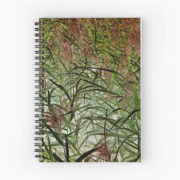 Item preview, Reeds designed and sold by WesternExposure.