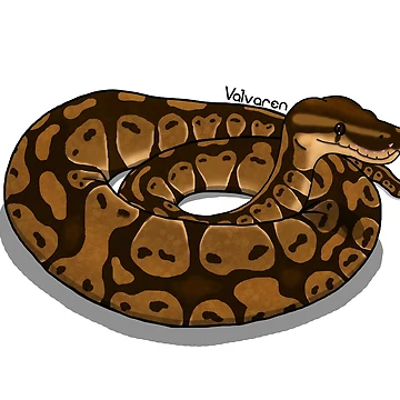 Artwork thumbnail, Ball Python Sticker by Valvaren
