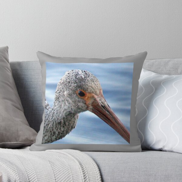 Item preview, Juvenile White Ibis Closeup designed and sold by AuntDot.