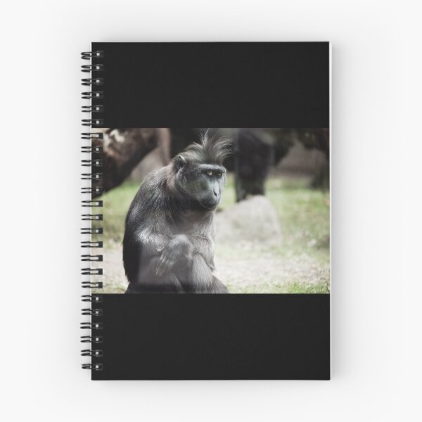 Item preview, Single macaque monkey sitting alone designed and sold by Arletta Cwalina.