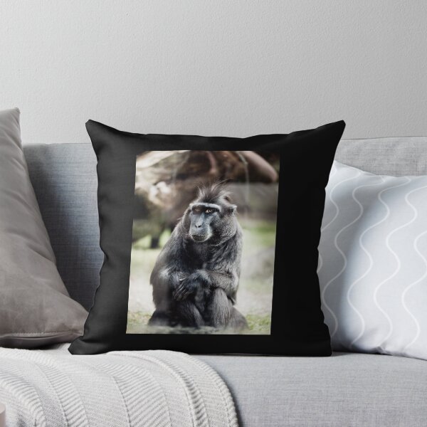 Item preview, Black macaque monkey sitting designed and sold by Arletta Cwalina.