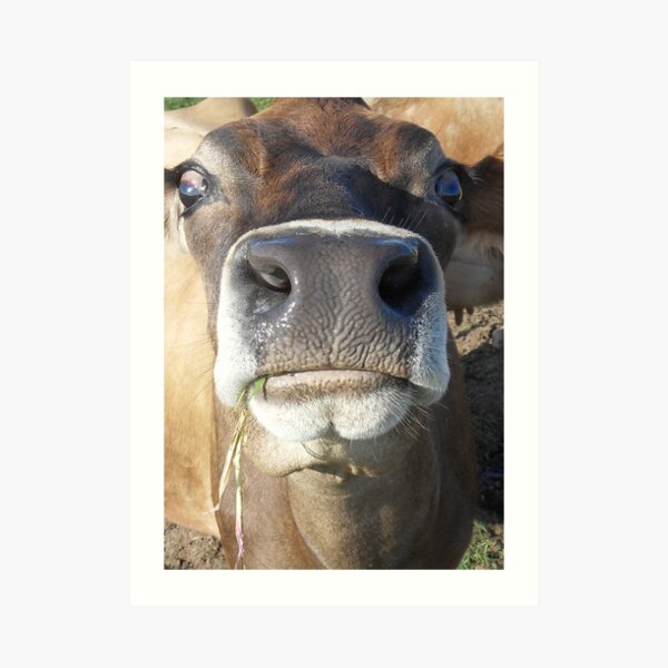 I love you too! Art Print