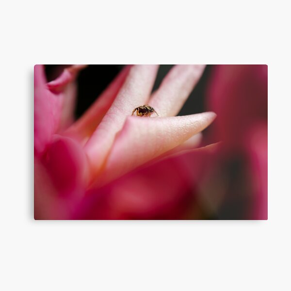 pink world Metal Print