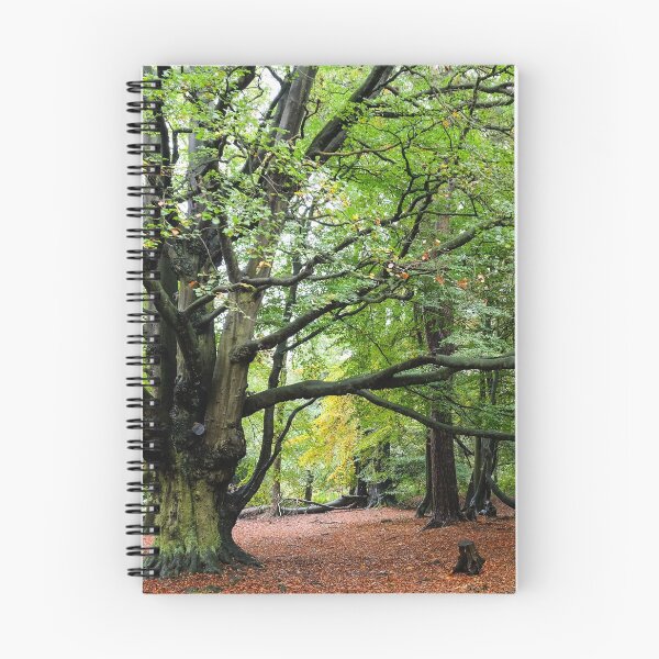 Item preview, autumn woodland designed and sold by markspics.