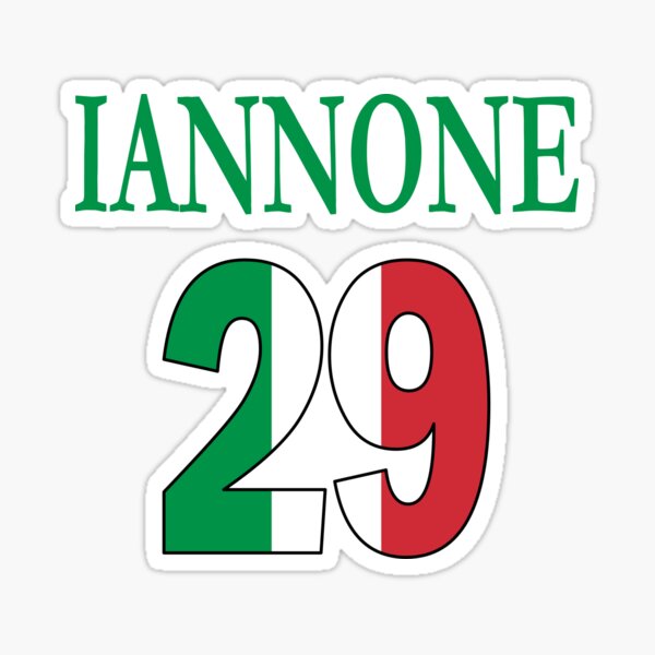 Andrea Iannone Screen Stickers pair 